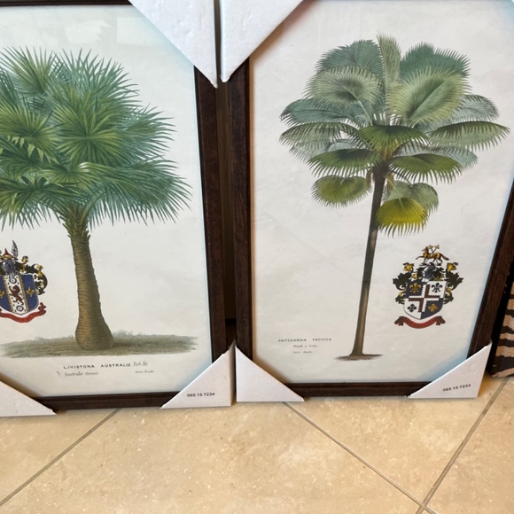 Island Time Tropical Palm Framed Tree Print - Picture 3 of 3